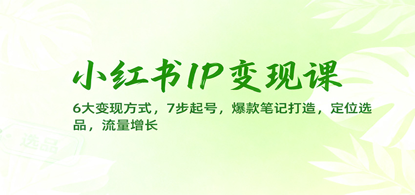 小红书IP变现课:6大变现方式,7步起号,爆款笔记打造,定位选品,流量增长-副业吧