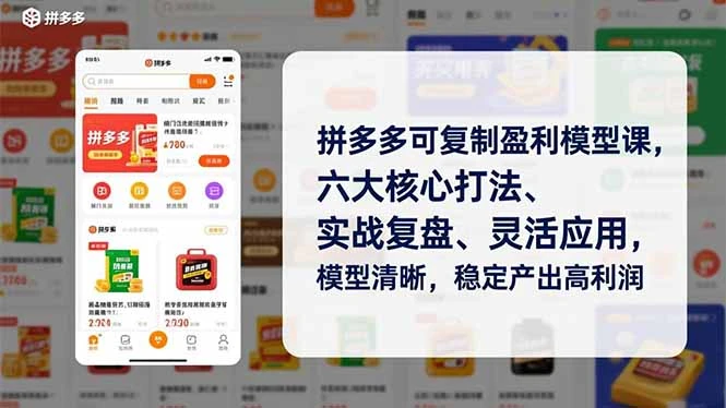 拼多多可复制盈利模型课，六大核心打法、实战复盘、灵活应用，模型清晰，稳定产出高利润-副业吧