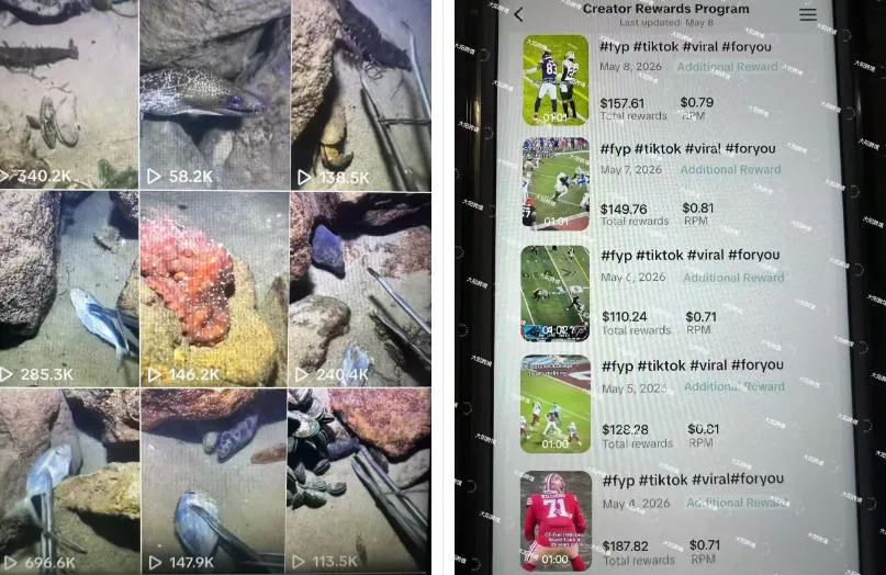 Tiktok中视频解说教程,体育+温情文案双赛道实操教程一站式带你落地,教你出海賺美刀-副业吧