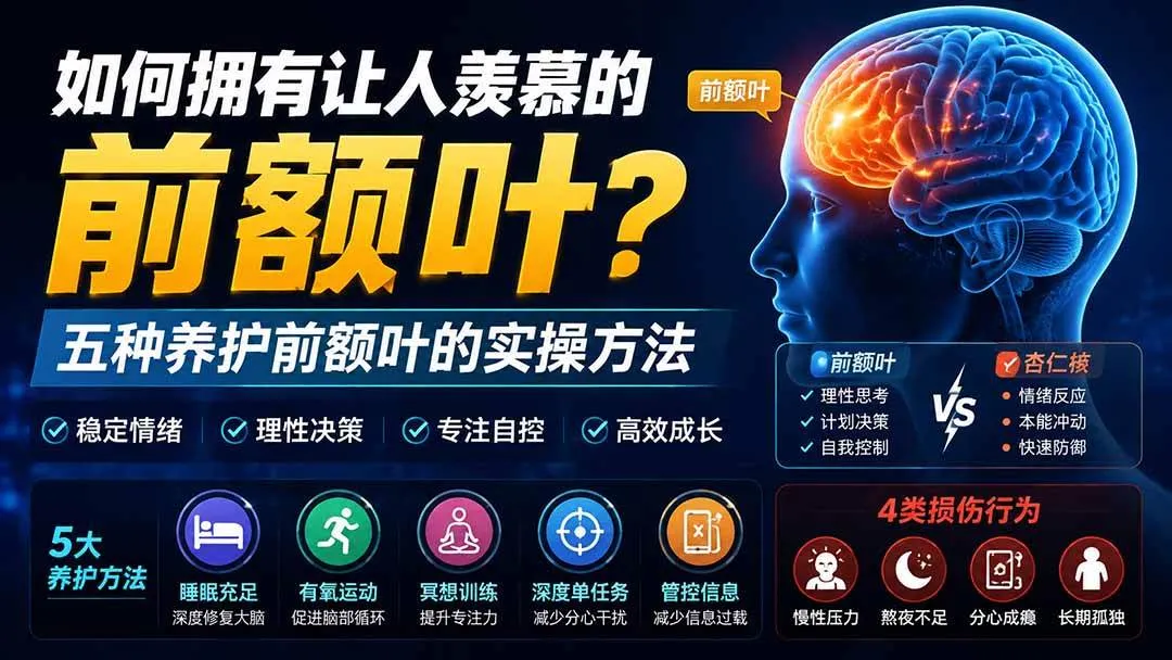 (19805期)付费文章:如何拥有让人羡慕的前额叶?五种养护前额叶的实操方法-副业吧