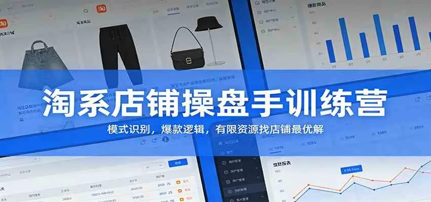 淘系店铺操盘手训练营：模式识别，爆款逻辑，有限资源找店铺最优解-副业吧